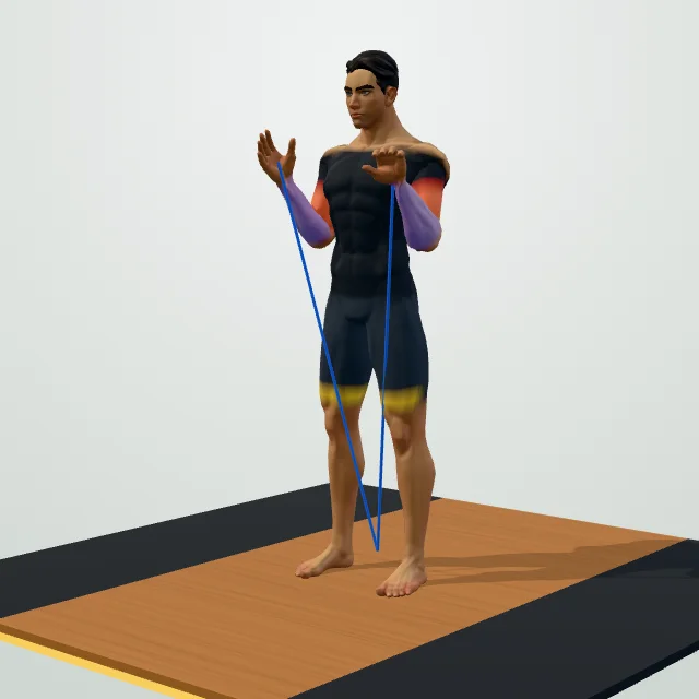 Resistance Band Bicep Curl — 3D demo