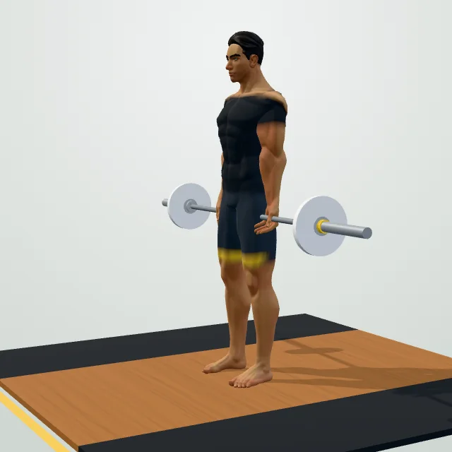 Barbell Curl — Start