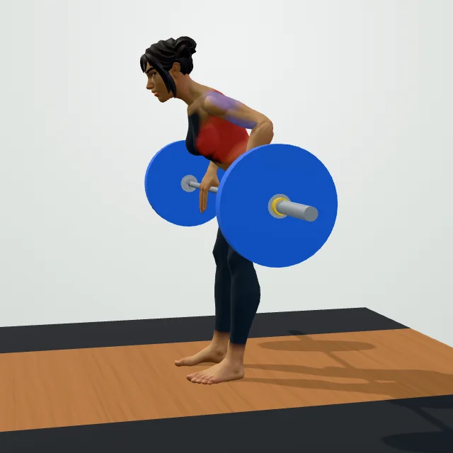 Bent-Over Barbell Row — 3D demo