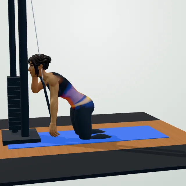 Cable Crunch — 3D demo