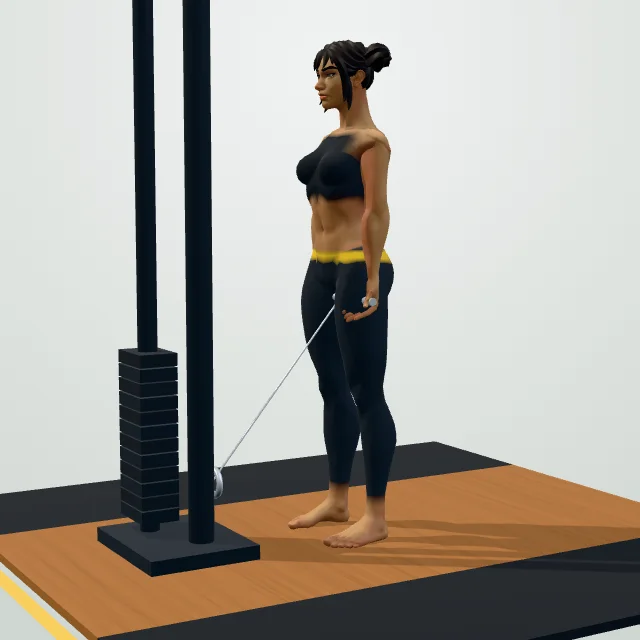 Cable Curl — Start