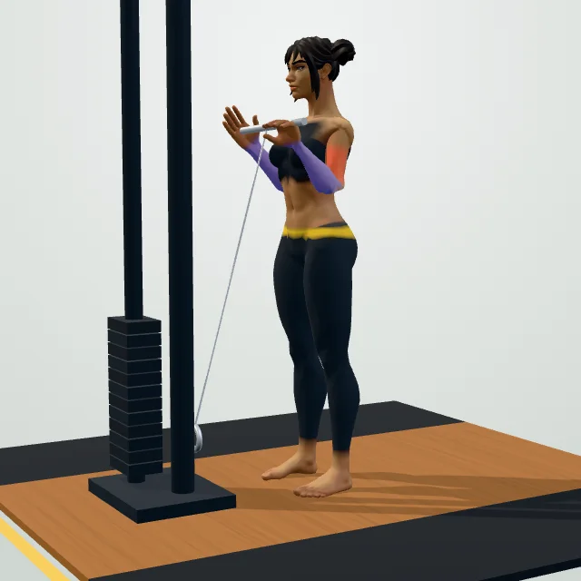 Cable Curl — 3D demo