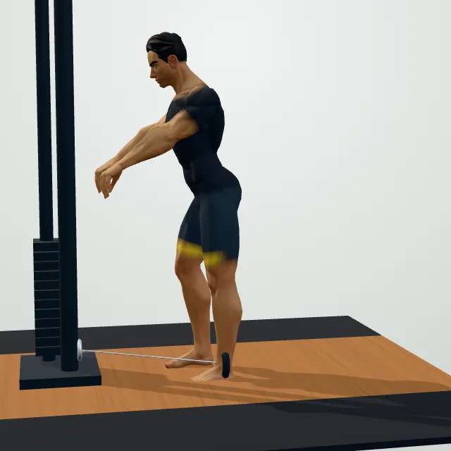 Cable Glute Kickback — Start