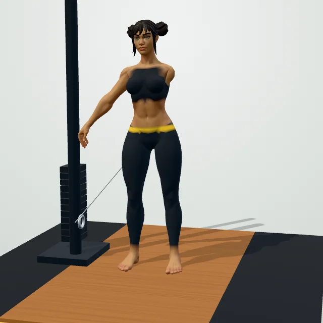 Cable Lateral Raise — Start