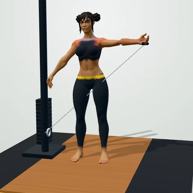Cable Lateral Raise — 3D demo