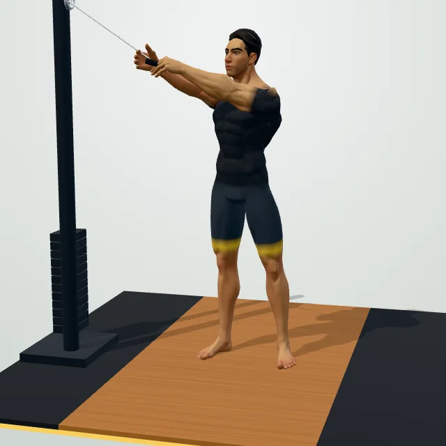 Cable Woodchop — Start