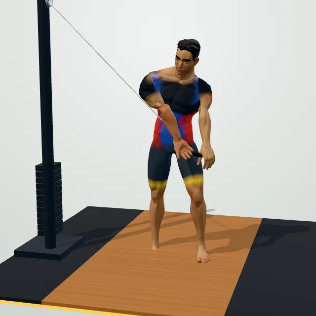 Cable Woodchop — 3D demo
