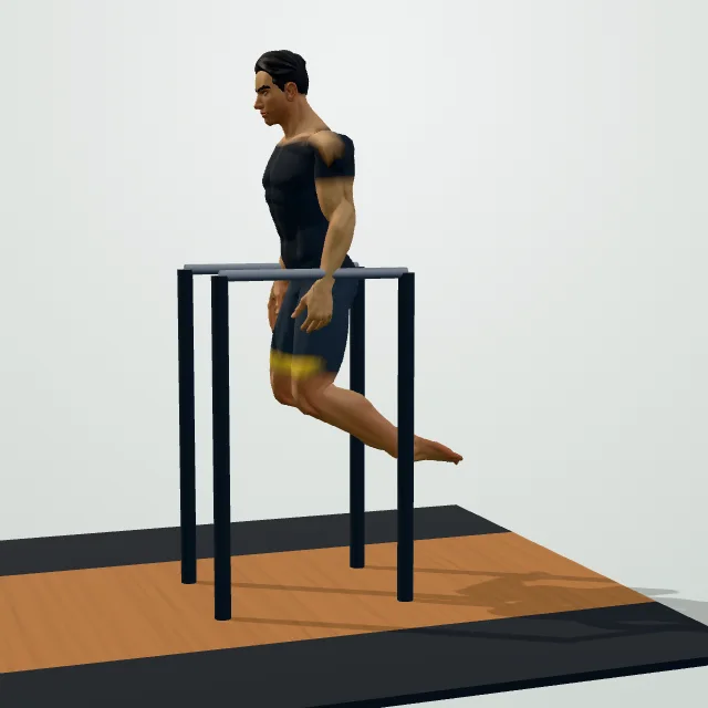 Chest Dip — Start