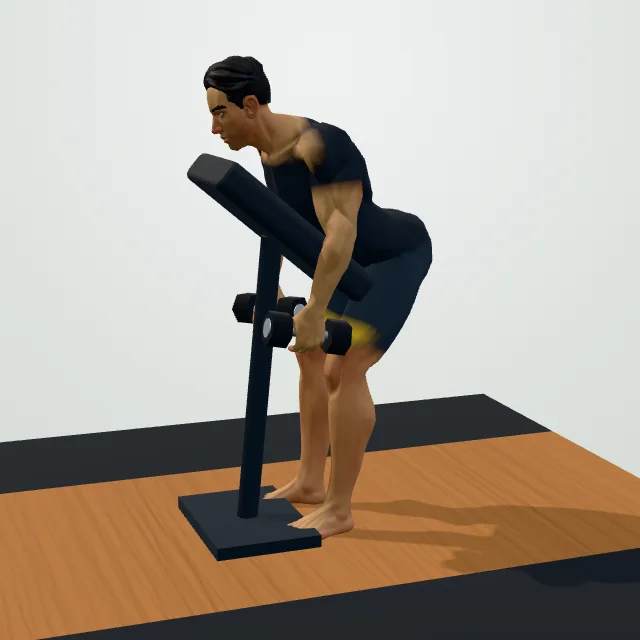 Chest-Supported Dumbbell Row — Start