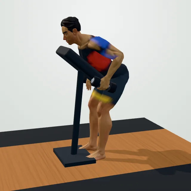 Chest-Supported Dumbbell Row — 3D demo