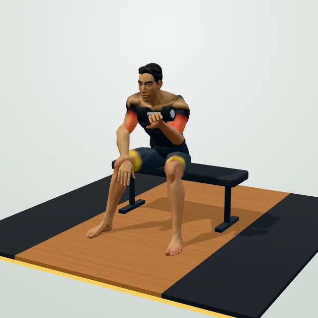 Concentration Curl — 3D demo
