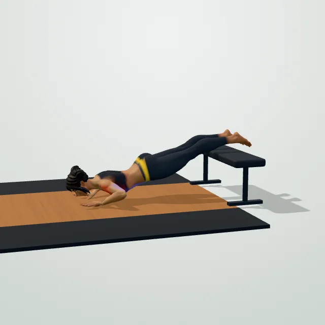 Decline Push-Up — 3D demo