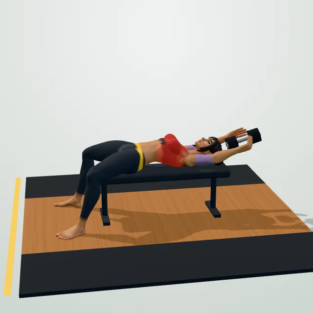 Dumbbell Pullover — 3D demo