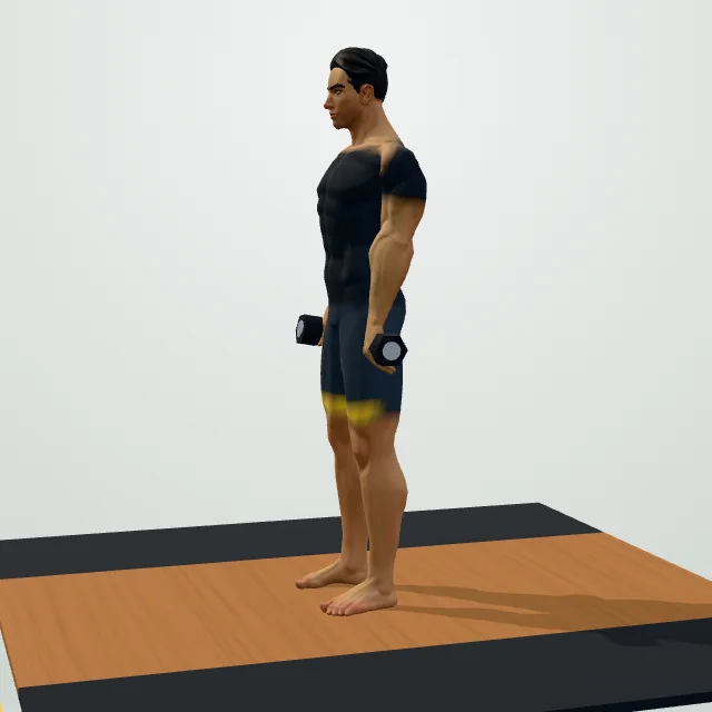 Dumbbell Romanian Deadlift — Start