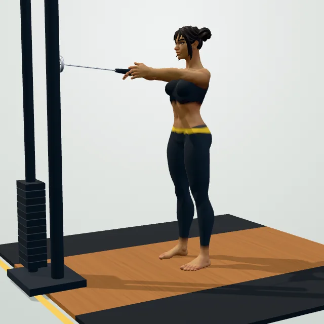 Face Pull — Start