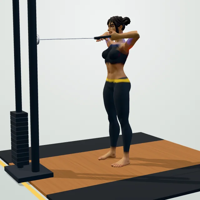 Face Pull — 3D demo