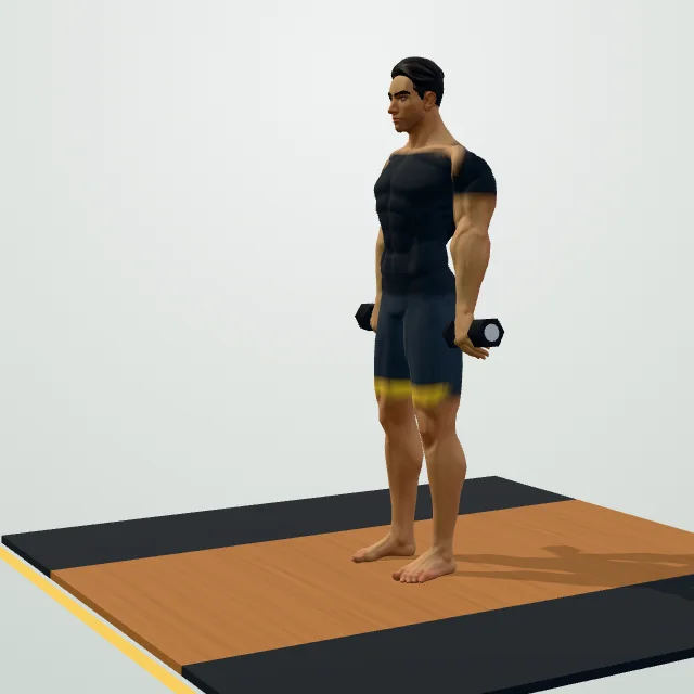 Dumbbell Front Raise — Start