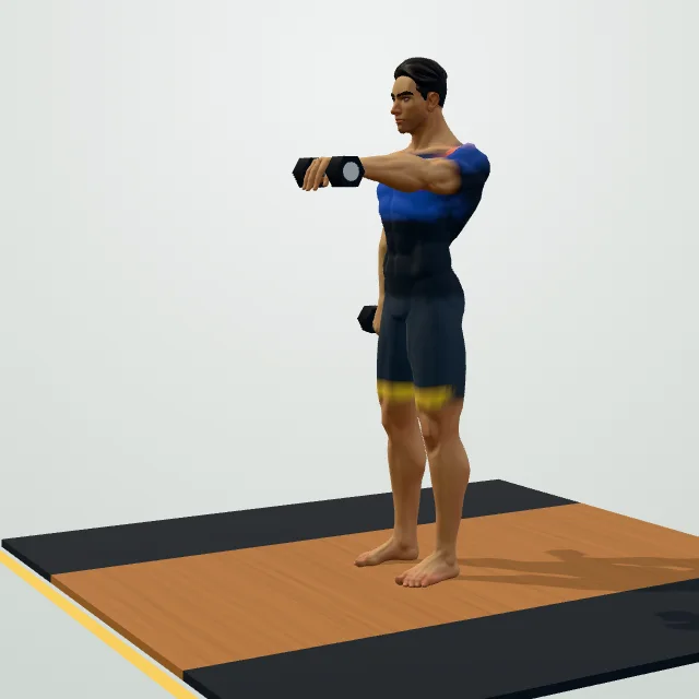 Dumbbell Front Raise — 3D demo