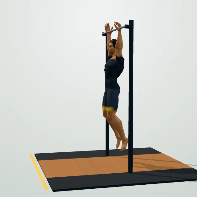 Hanging Knee Raise — Start