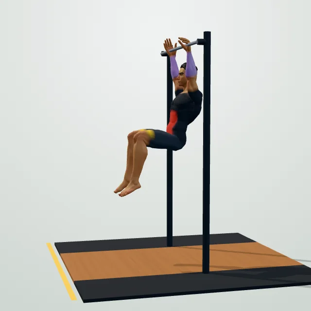 Hanging Knee Raise — 3D demo