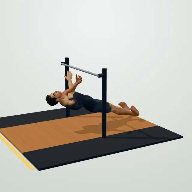 Inverted Row — Start