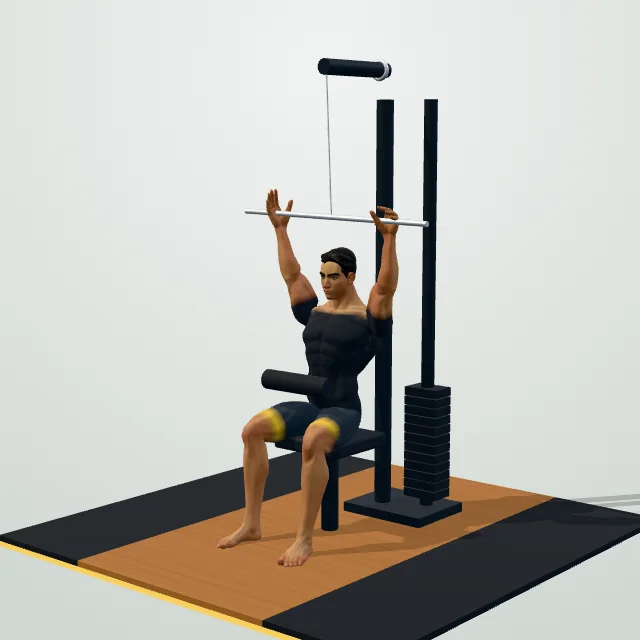 Lat Pulldown — Start