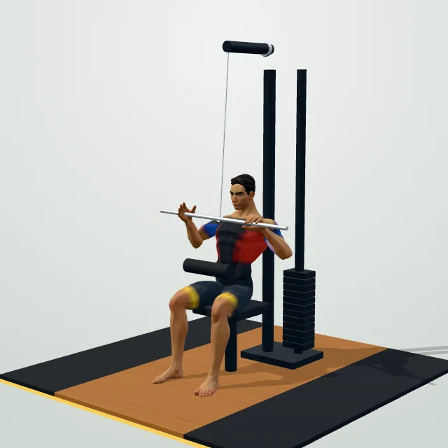 Lat Pulldown — 3D demo