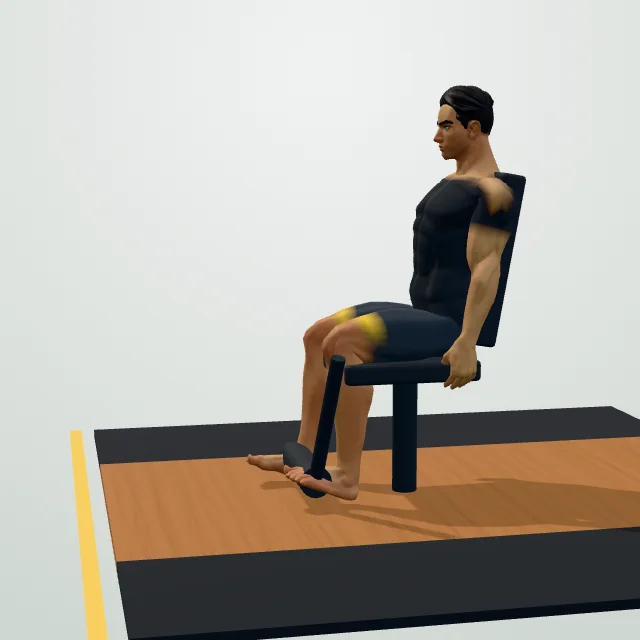 Leg Extension — Start