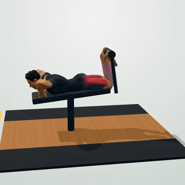 Lying Leg Curl — 3D demo