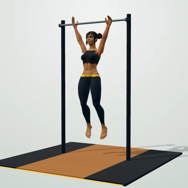 Pull-Up — Start