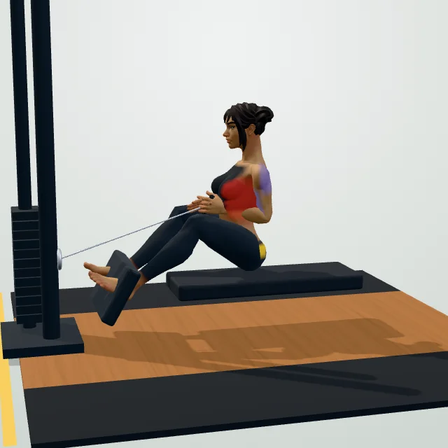 Seated Cable Row — 3D demo