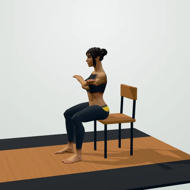 Sit-to-Stand (Chair Squat) — Start