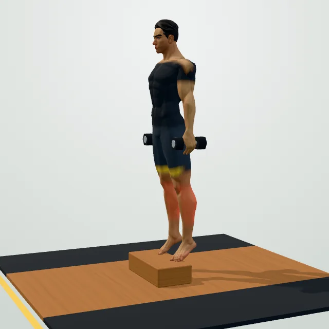 Standing Calf Raise — 3D demo