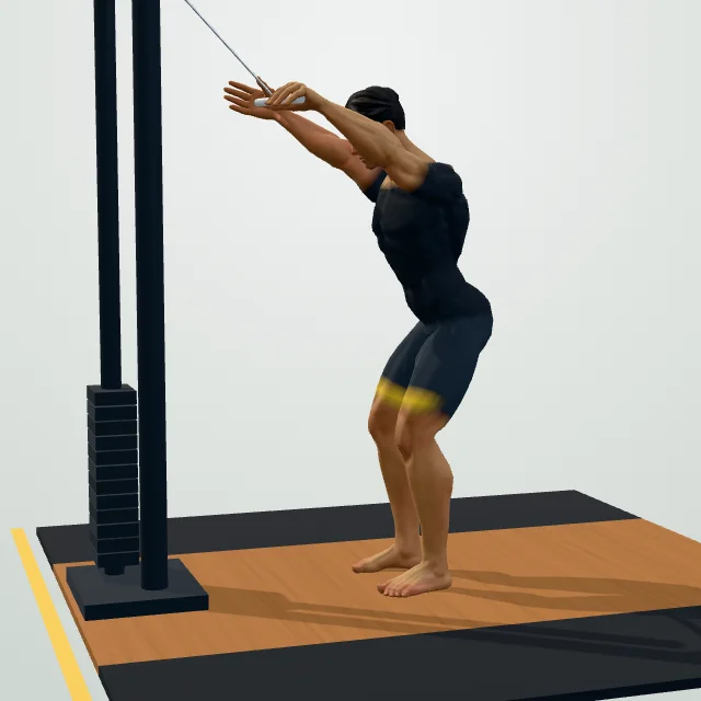 Straight-Arm Pulldown — Start