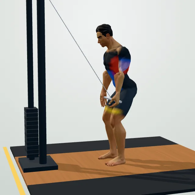 Straight-Arm Pulldown — 3D demo