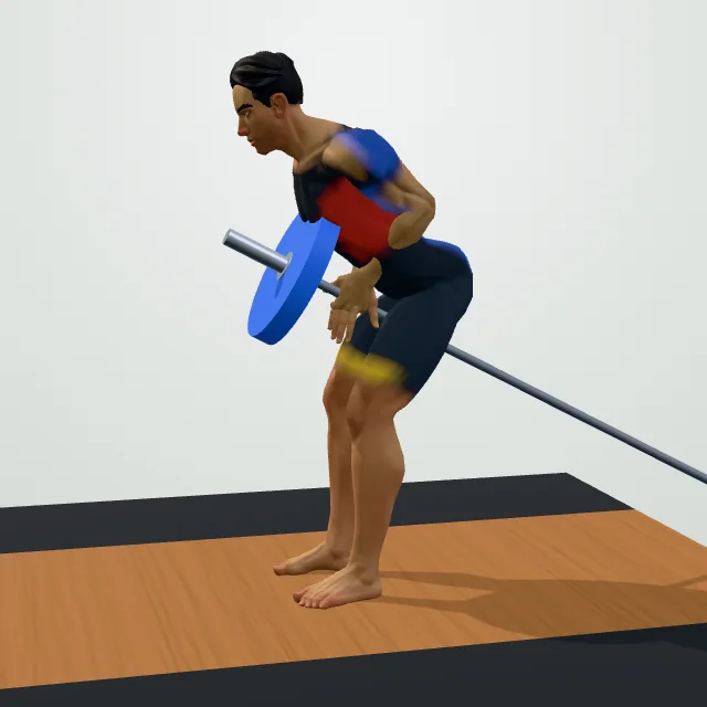 T-Bar Row — 3D demo