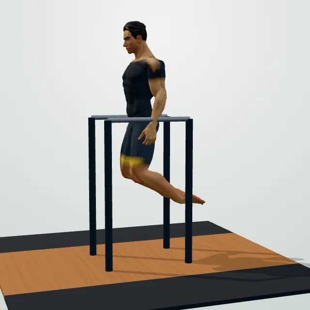 Parallel Bar Dip — Start