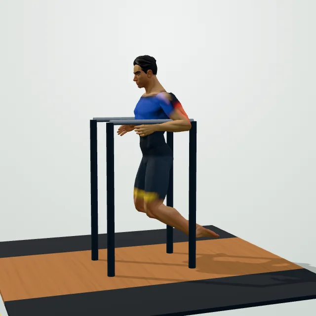 Parallel Bar Dip — 3D demo