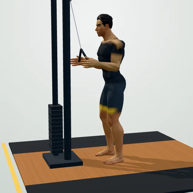 Triceps Rope Pushdown — Start